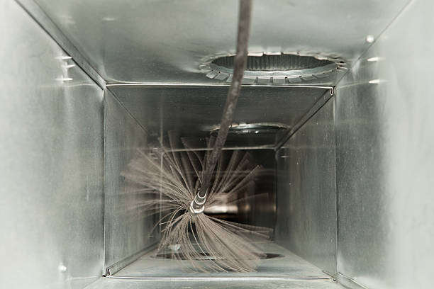 Best Air Duct Mold Removal  in Marietta, GA